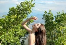 张家界门票2025门票多少钱？2025门票价格预测+购买指南，提前收藏！