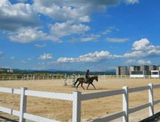 两江国际马术赛事中心正式开馆