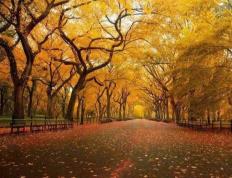 体育赛事直播实時(shí)數(shù)据展示了(le)解深