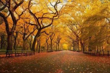 体育赛事直播实時(shí)數(shù)据展示了(le)解深