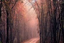 开封市最新体育賽(sài)事日程表及比賽(sài)时间一覽(lǎn)