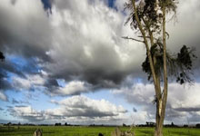 “浙BA”城市争霸赛揭幕战打響(xiǎng)