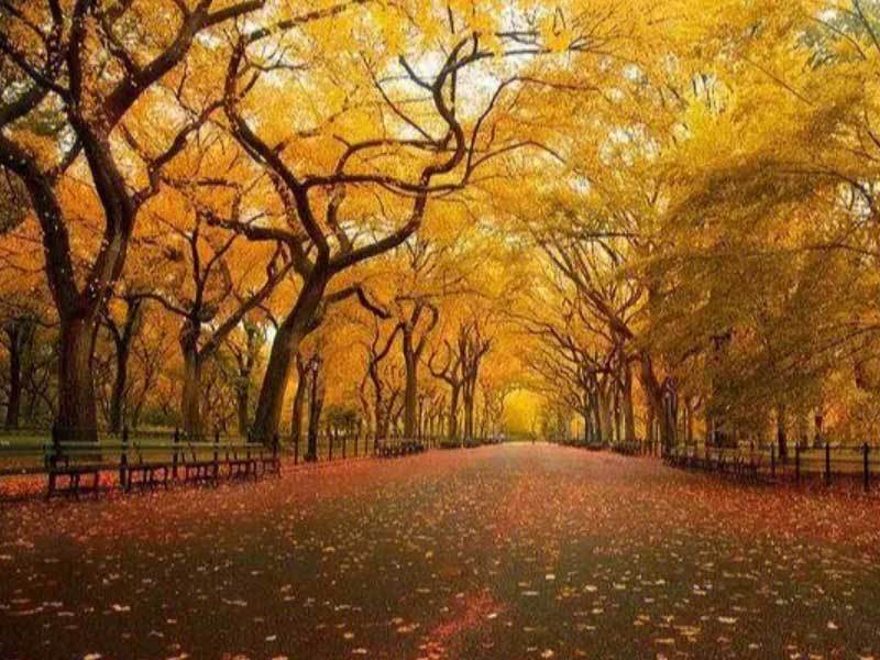 体育赛事直播实時(shí)數(shù)据展示了(le)解深