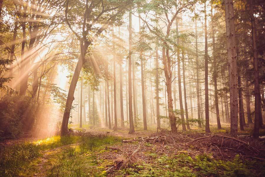 体育赛事直播实時(shí)數(shù)据展示了(le)解深
